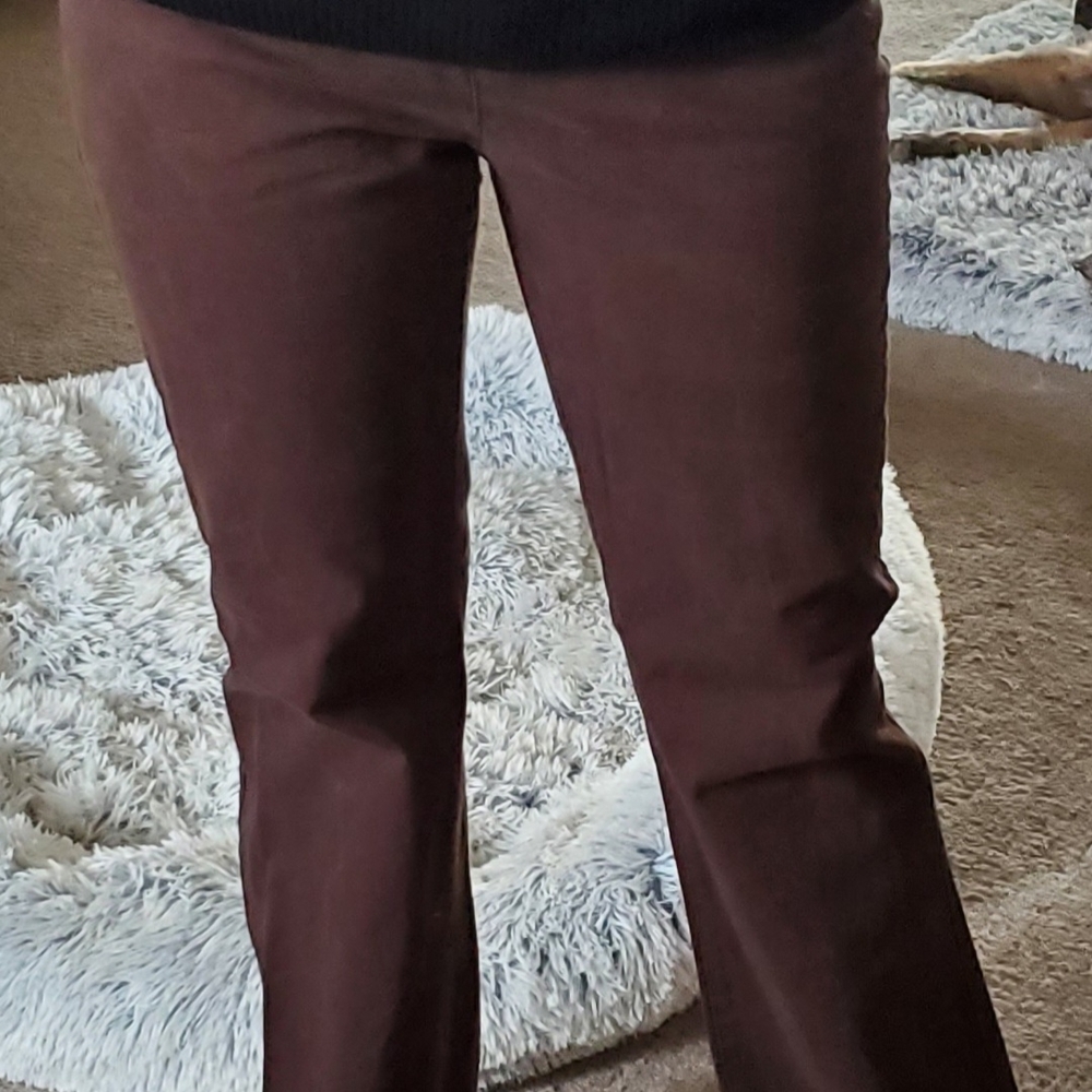 Classic Elements Petite Brown Pants